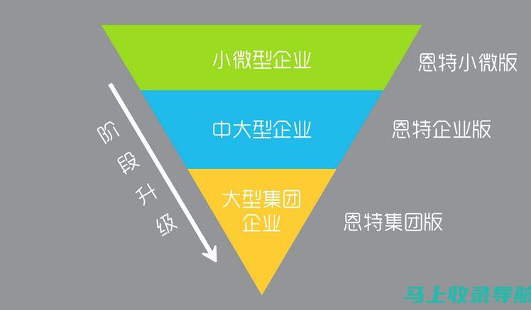 全面解析外贸SEO在线培训费用，带你了解SEO课程真实投入成本